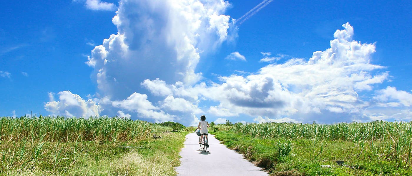 あなたもメルカリ始めてみない？ / 今なら無料会員登録だけで500ポイント